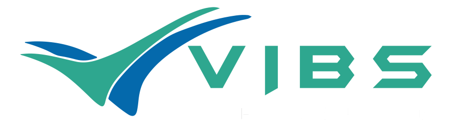 vibs logo infrabuild white