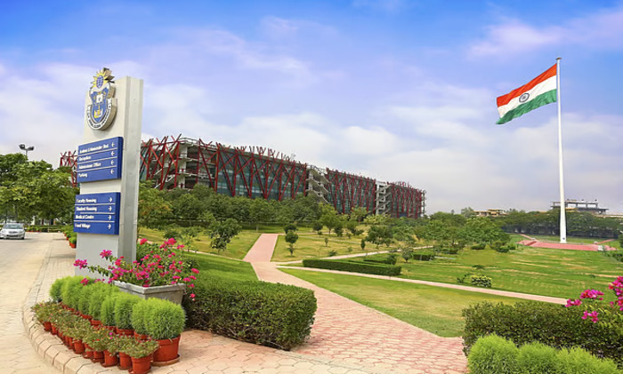 96311bf6 0924 4ece ba89 e6eeed581865 org 1